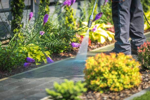 Professional Pressure Washing Services in Fairfax, CA